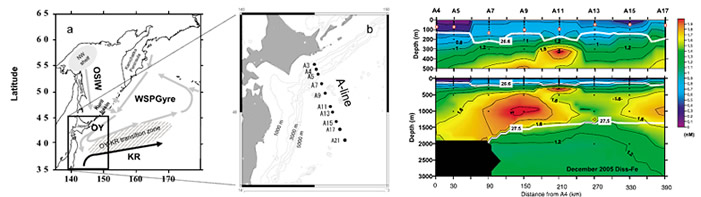 北海道沖の親潮を横切る観測ライン　親潮の中層に高い鉄濃度を持つ水塊が分布している